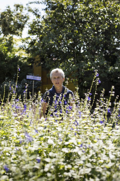 Tour with Annemarie, the gardener in the framework of Tamás Kaszás, Bauhaus Beehive, 2015. Photo: BAU