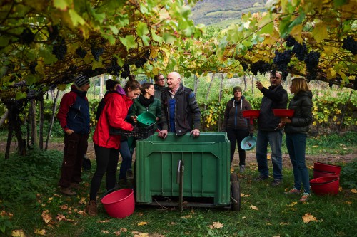 Emma Smith, Terratorium workshop at Family Estate Mayr-Unterganzner 2016. Photo: Daniel Mazza 