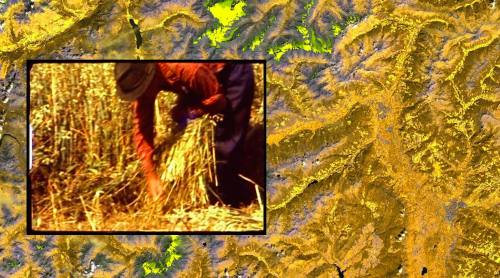 videostill from ALMA by INLAND