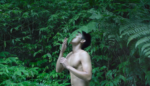Bo Zheng, Pteridophilia 1, 2016, 17'