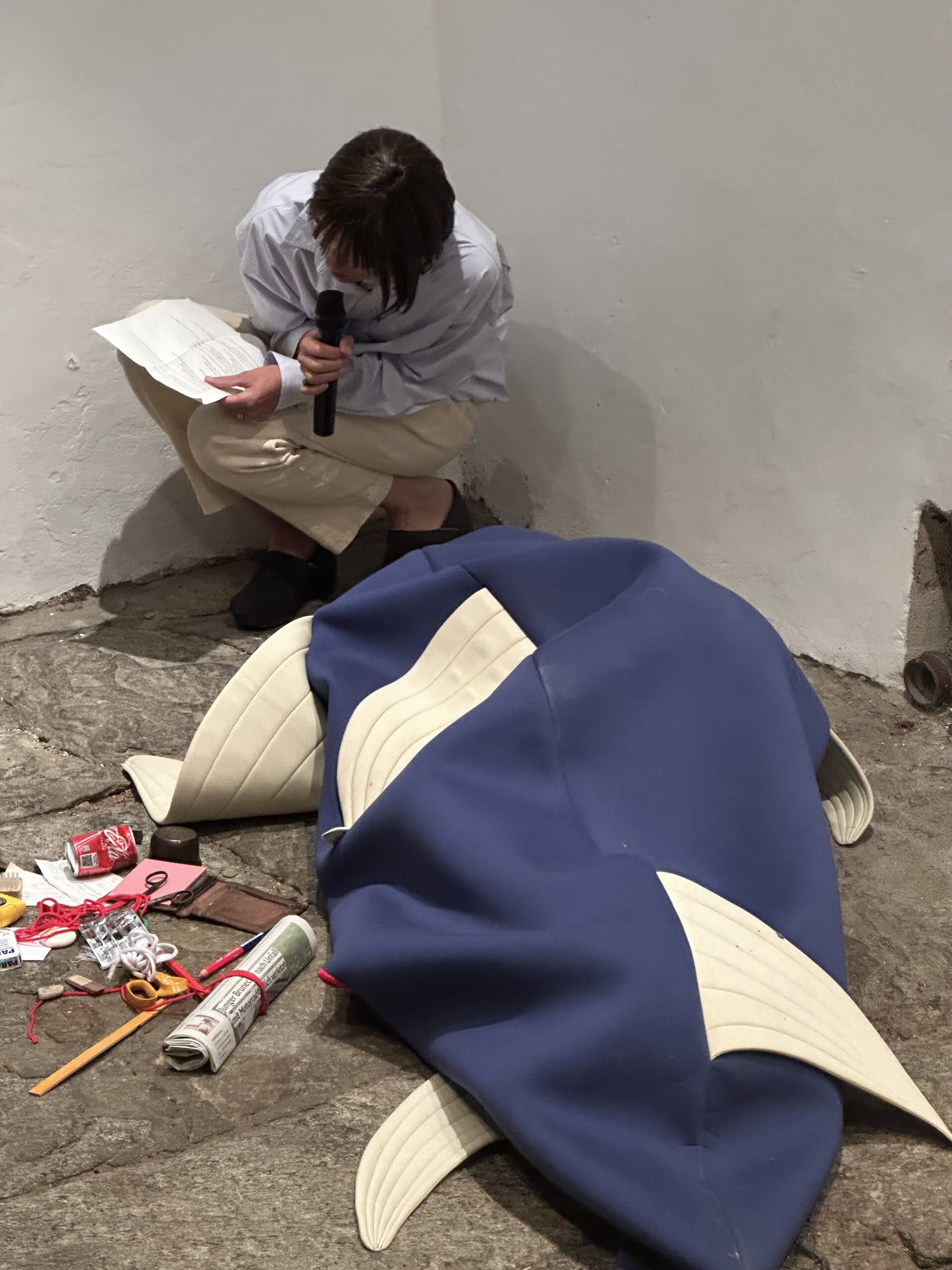 Opening of the exhibition Unteroberwasser curated by BAU, 2025, Photo: Daniela Brugger