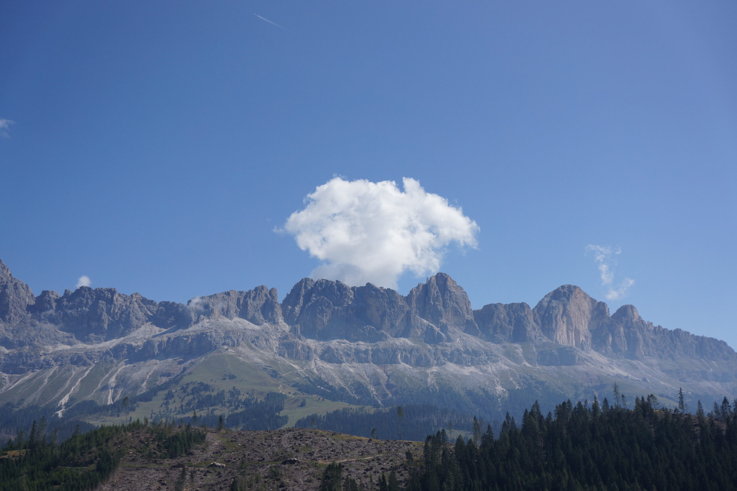 FLORAE – Alpine Meadow Tasting with COOKING SECTIONS, BAU Residency 2019, curated by BAU. Photo: Daniel Mazza